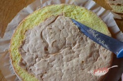 Przygotowanie przepisu Prosty twarogowy tort z morelami "Słoneczne pozdrowienia", krok 4